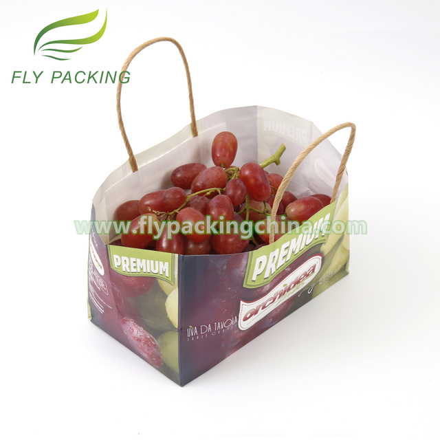 Packaging Bag Factory Wet Strength Kraft Grapes Fruit Paper Bags with Hole And Handle
