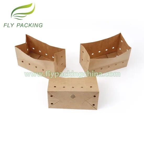 Food Grade Wet Strength Kraft Fruit Paper Packaging Bags with Macro Perforated Holes