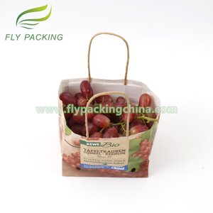 Packaging Fruit Paper Bag with Handles