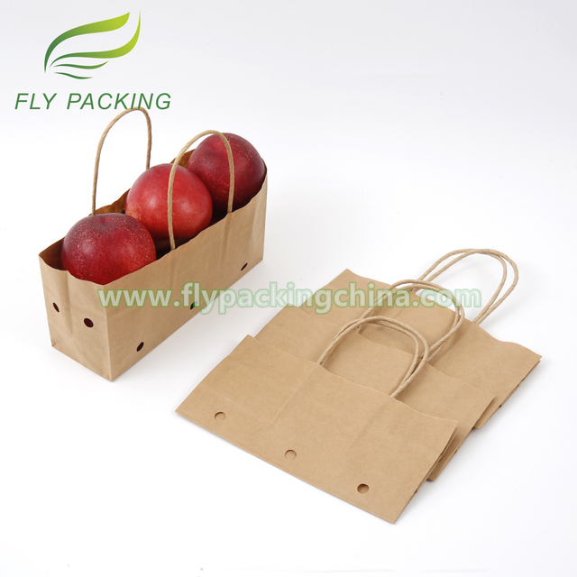 Eco Recyclable Craft Handle Paper Bags