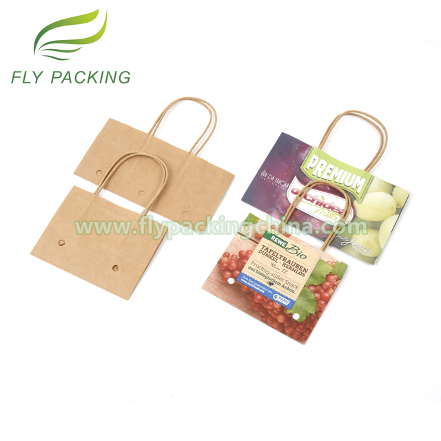 Packaging Bag Factory Wet Strength Kraft Grapes Fruit Paper Bags with Hole And Handle
