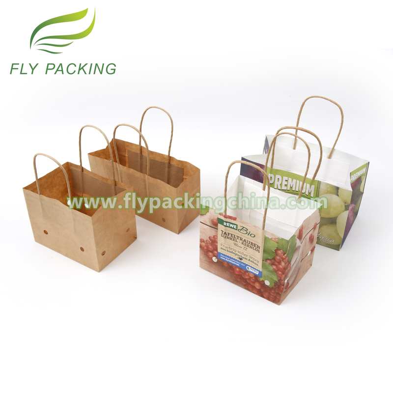 Packaging Bag Factory Wet Strength Kraft Grapes Fruit Paper Bags with Hole And Handle
