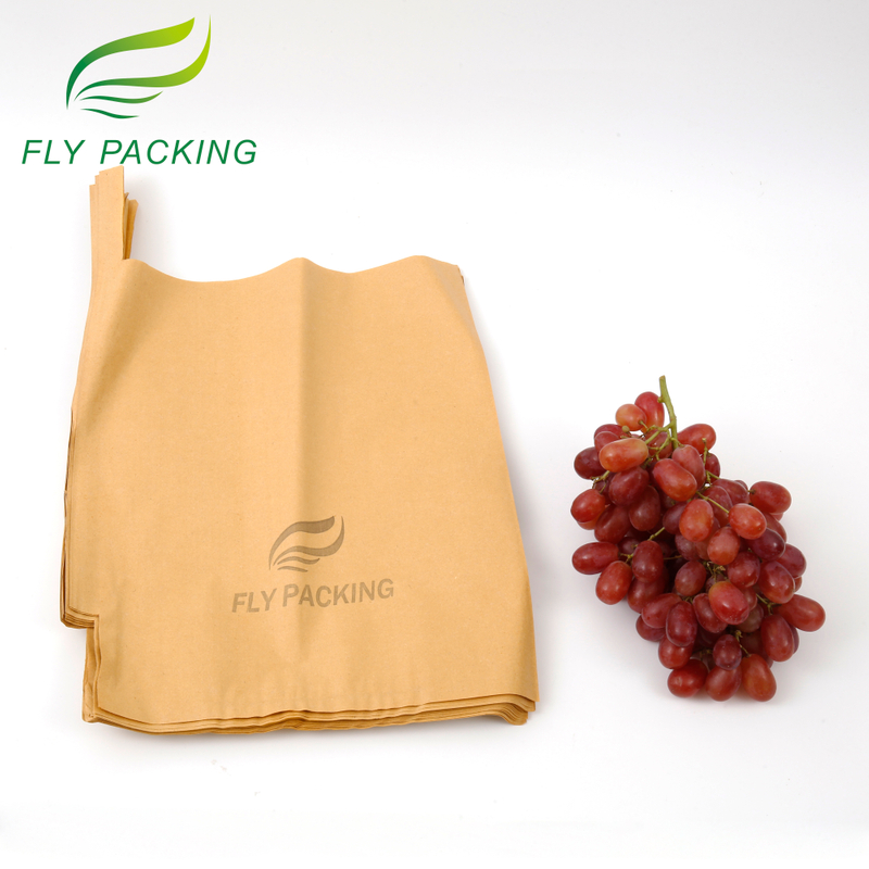Grape Protection Paper Bag