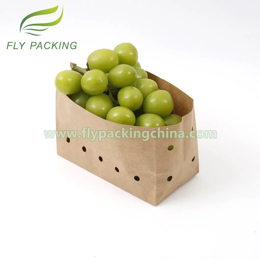 Wet Strength Table Grapes Packaging Kraft Fruit Paper Bags with 8mm Air Holes
