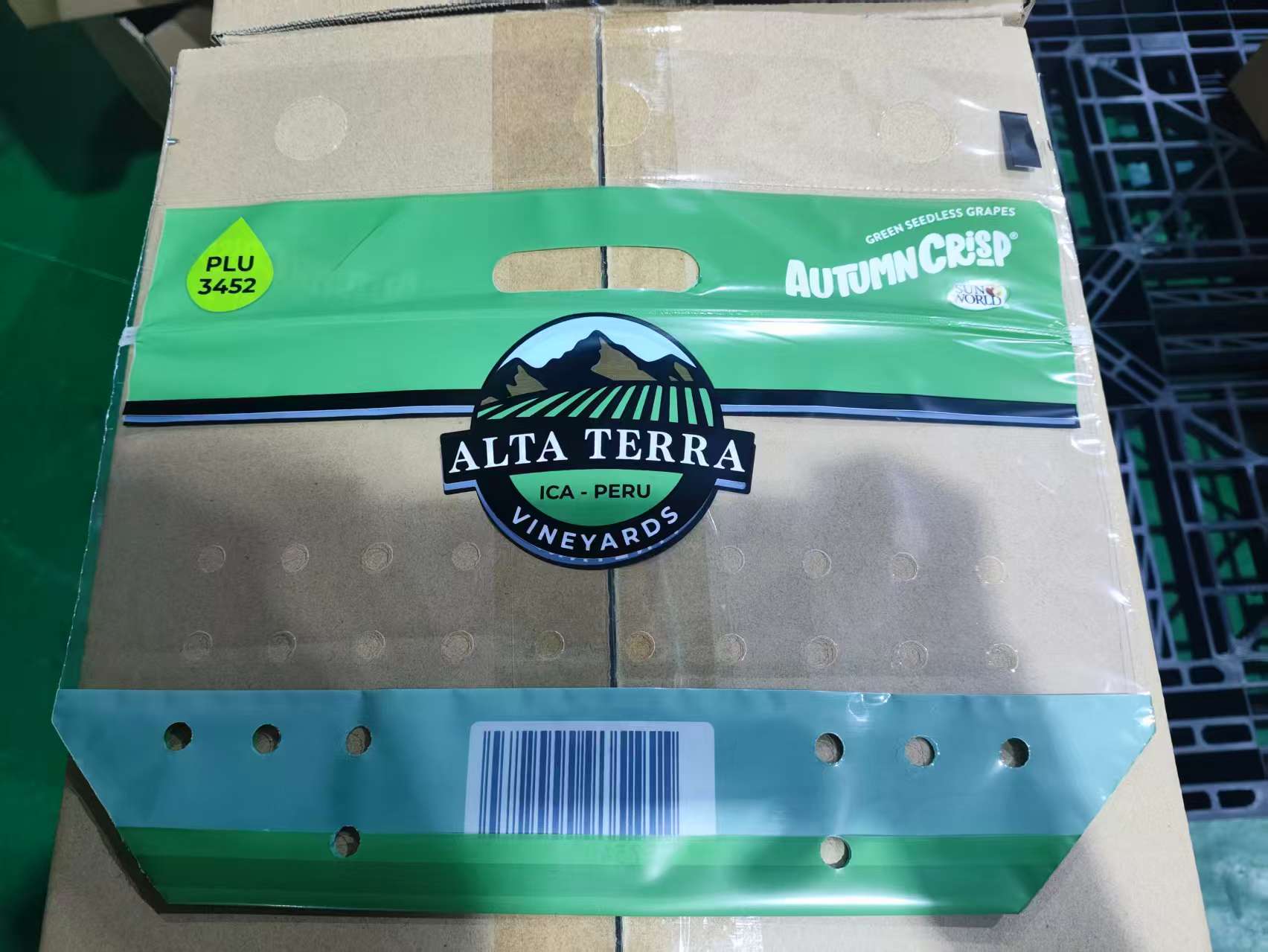 Grape Eco-Friendly Bags