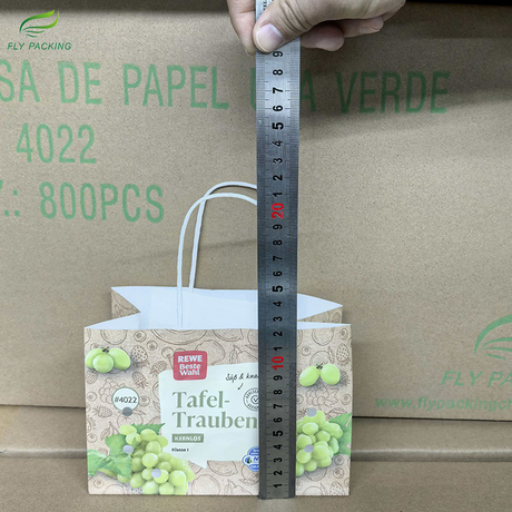 Custom Printed Kraft Paper Bags for Fruit | Durable Carrier Bags with Handles 