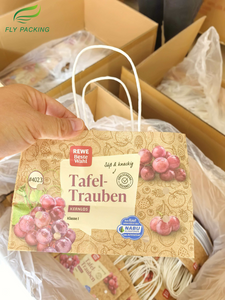 Carrier Paper Bag For Grapes | 500g Capacity Ventilated Fruit Bags