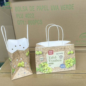 100% Recyclable Paper Bags for Grapes | Plastic-Free Fruit Packaging Solutions